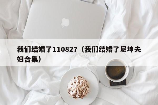 我们结婚了110827（我们结婚了尼坤夫妇合集）