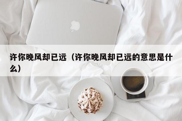 许你晚风却已远（许你晚风却已远的意思是什么）