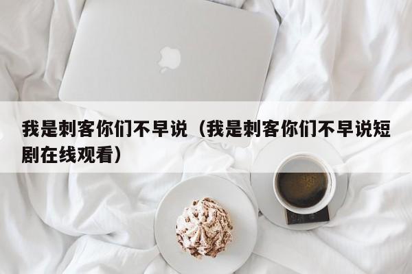 我是刺客你们不早说（我是刺客你们不早说短剧在线观看）