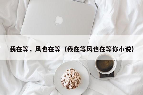 我在等，风也在等（我在等风也在等你小说）